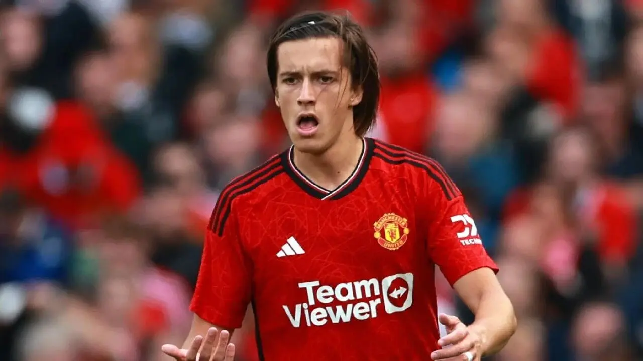 他知道无论, msn 他知道无论, msn